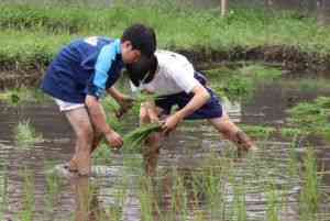thumbnail_IMG_0066