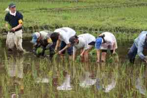 thumbnail_IMG_0076